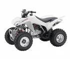 Квадроцикл 250