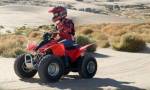 Квадроциклы по объёму двигателя