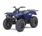 Квадроцикл 250