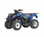 Квадроцикл 300
