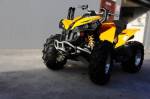 Внедорожные квадроциклы после тюнинга